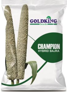 GKB BAJRA CHAMPION 3D PKT