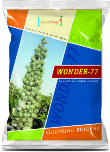 GKB CASTOR WONDER 77 3D PKT