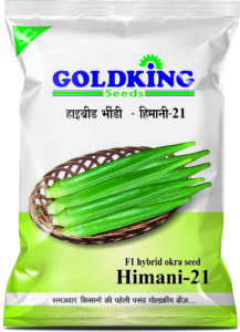 bhindi himani-21 (1)
